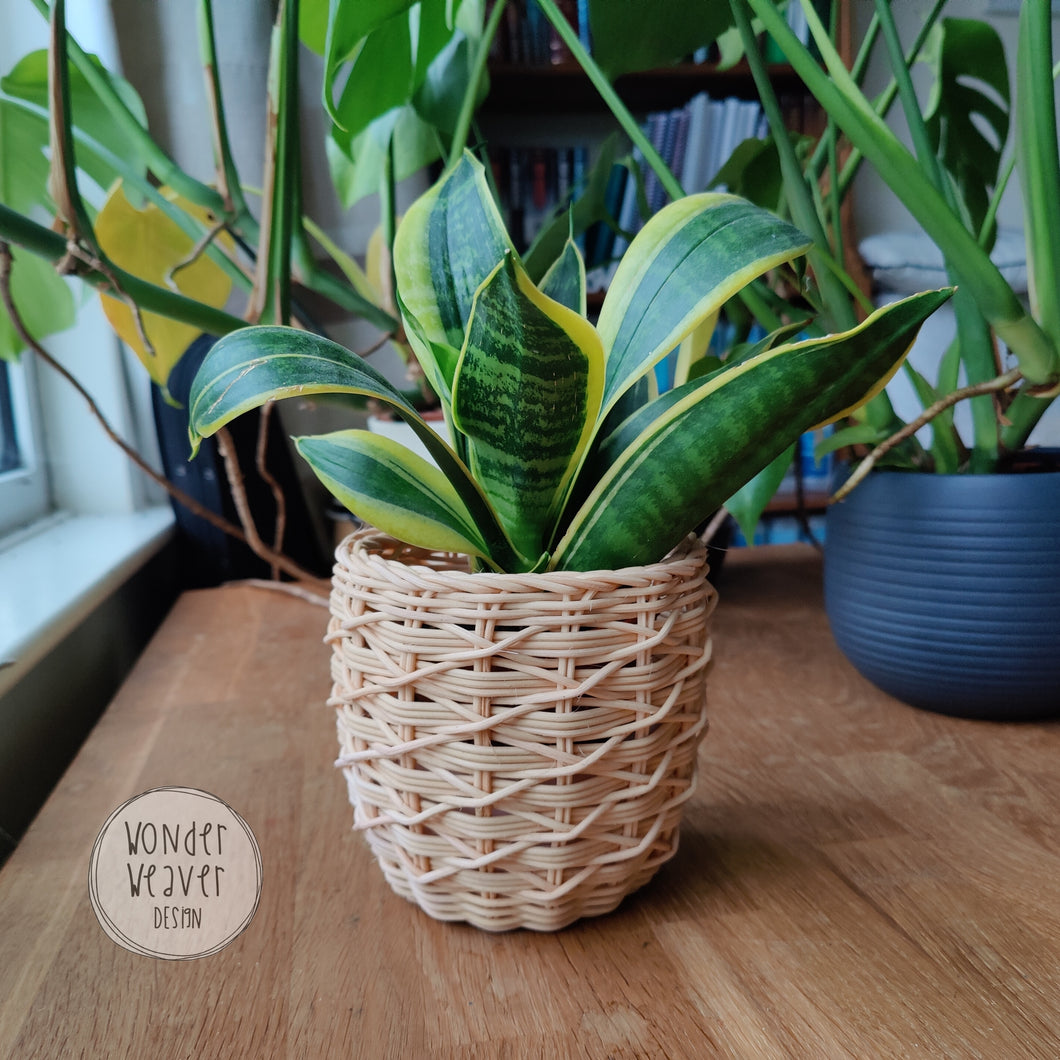 Pineapple Basket | Storage Basket/Plant Pot