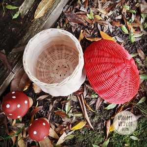 Mushroom Basket with hand-dyed lid | Handmade