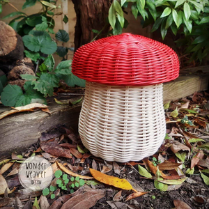 Mushroom Basket with hand-dyed lid | Handmade